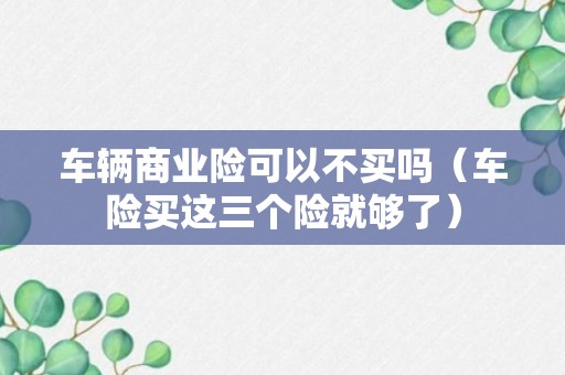 车辆商业险可以不买吗（车险买这三个险就够了）