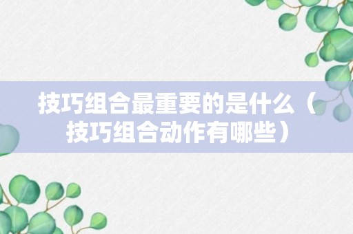 技巧组合最重要的是什么（技巧组合动作有哪些）