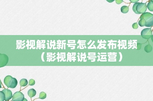 影视解说新号怎么发布视频（影视解说号运营）