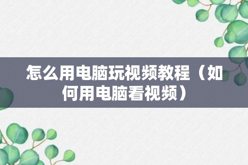 怎么用电脑玩视频教程（如何用电脑看视频）