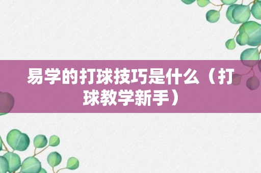 易学的打球技巧是什么（打球教学新手）