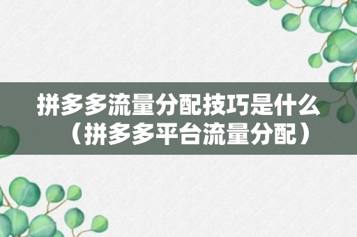 拼多多流量分配技巧是什么（拼多多平台流量分配）