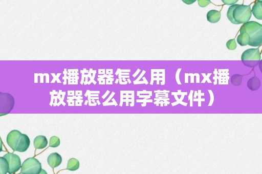 mx播放器怎么用（mx播放器怎么用字幕文件）