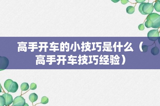 高手开车的小技巧是什么（高手开车技巧经验）