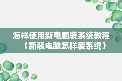 怎样使用新电脑装系统教程（新装电脑怎样装系统）