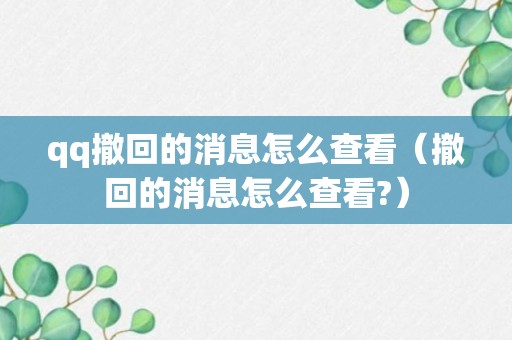 qq撤回的消息怎么查看（撤回的消息怎么查看?）