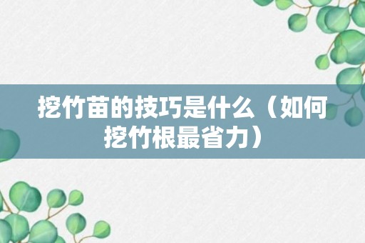 挖竹苗的技巧是什么（如何挖竹根最省力）