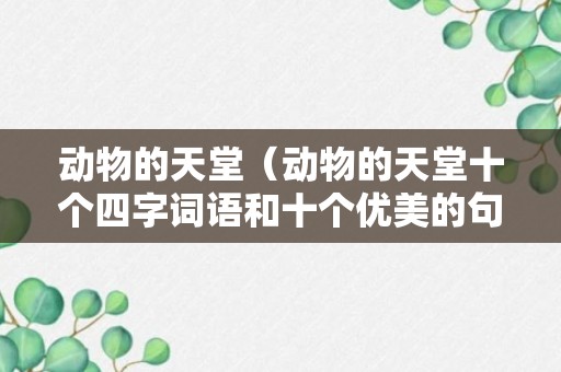 动物的天堂（动物的天堂十个四字词语和十个优美的句子）