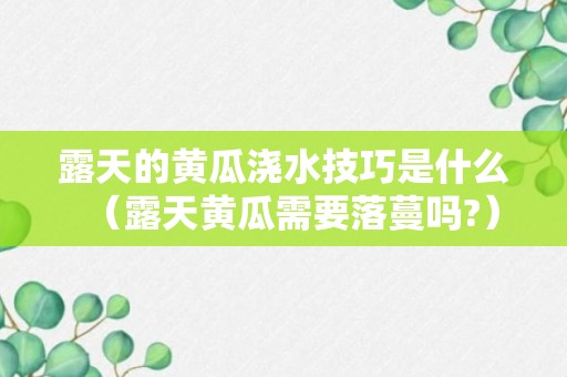 露天的黄瓜浇水技巧是什么（露天黄瓜需要落蔓吗?）