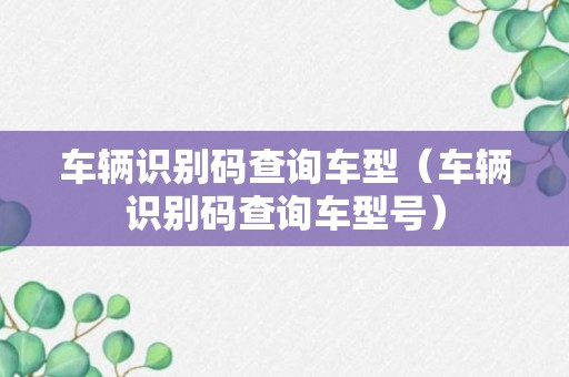 车辆识别码查询车型（车辆识别码查询车型号）