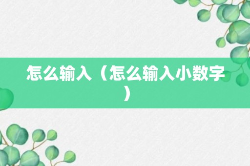 怎么输入（怎么输入小数字）