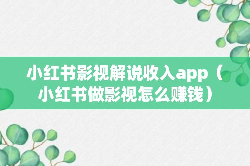 小红书影视解说收入app（小红书做影视怎么赚钱）