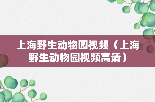 上海野生动物园视频（上海野生动物园视频高清）