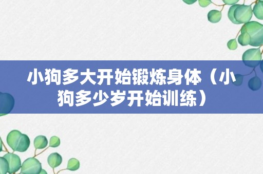 小狗多大开始锻炼身体（小狗多少岁开始训练）