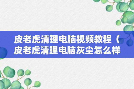 皮老虎清理电脑视频教程（皮老虎清理电脑灰尘怎么样）