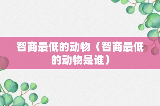 智商最低的动物（智商最低的动物是谁）