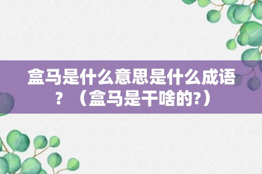 盒马是什么意思是什么成语？（盒马是干啥的?）