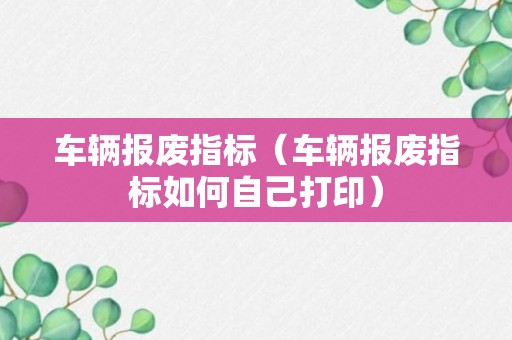 车辆报废指标（车辆报废指标如何自己打印）