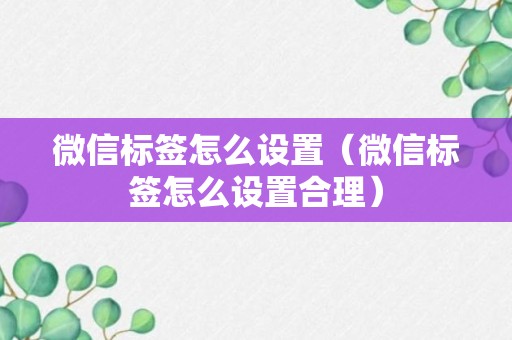 微信标签怎么设置（微信标签怎么设置合理）