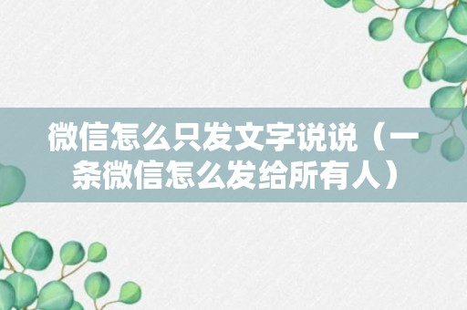 微信怎么只发文字说说（一条微信怎么发给所有人）