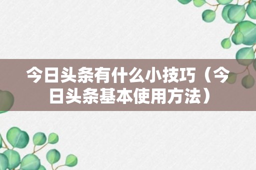 今日头条有什么小技巧（今日头条基本使用方法）