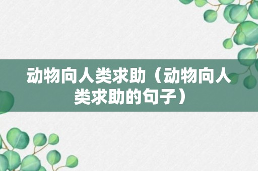 动物向人类求助（动物向人类求助的句子）