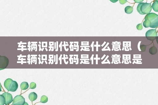 车辆识别代码是什么意思（车辆识别代码是什么意思是不是车架号）