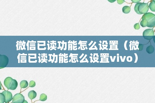 微信已读功能怎么设置（微信已读功能怎么设置vivo）