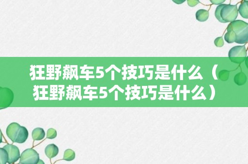 狂野飙车5个技巧是什么（狂野飙车5个技巧是什么）