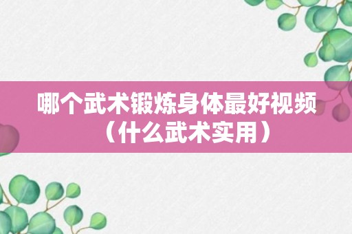 哪个武术锻炼身体最好视频（什么武术实用）