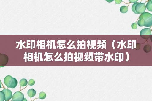 水印相机怎么拍视频（水印相机怎么拍视频带水印）