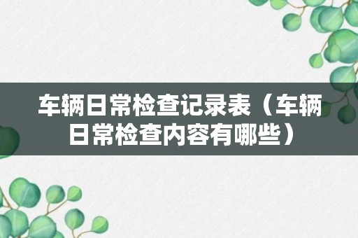 车辆日常检查记录表（车辆日常检查内容有哪些）