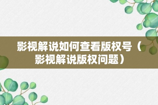 影视解说如何查看版权号（影视解说版权问题）