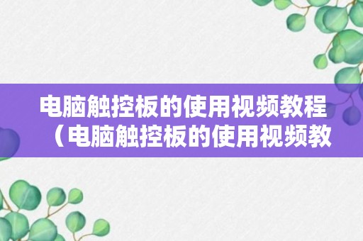 电脑触控板的使用视频教程（电脑触控板的使用视频教程图解）