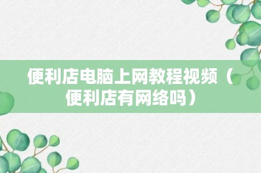 便利店电脑上网教程视频（便利店有网络吗）