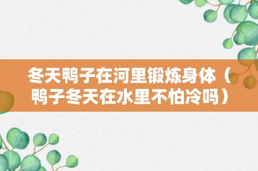 冬天鸭子在河里锻炼身体（鸭子冬天在水里不怕冷吗）