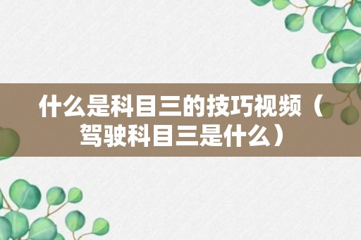 什么是科目三的技巧视频（驾驶科目三是什么）