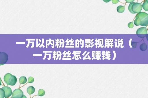 一万以内粉丝的影视解说（一万粉丝怎么赚钱）