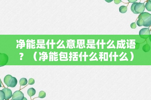 净能是什么意思是什么成语？（净能包括什么和什么）