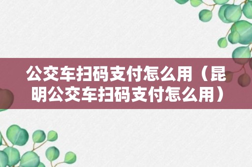 公交车扫码支付怎么用（昆明公交车扫码支付怎么用）