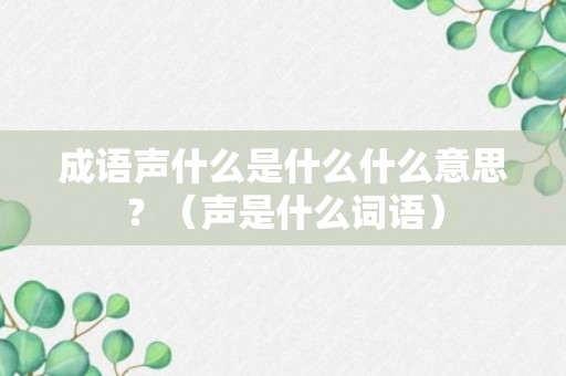 成语声什么是什么什么意思？（声是什么词语）