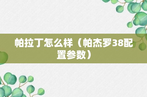 帕拉丁怎么样（帕杰罗38配置参数）