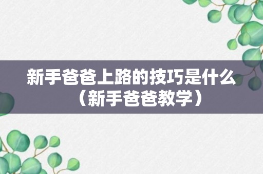 新手爸爸上路的技巧是什么（新手爸爸教学）