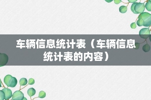 车辆信息统计表（车辆信息统计表的内容）