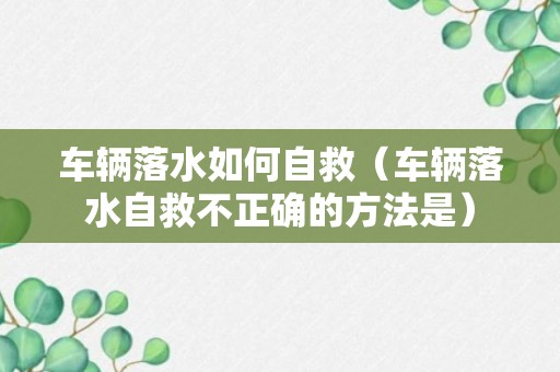 车辆落水如何自救（车辆落水自救不正确的方法是）