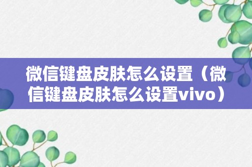 微信键盘皮肤怎么设置（微信键盘皮肤怎么设置vivo）