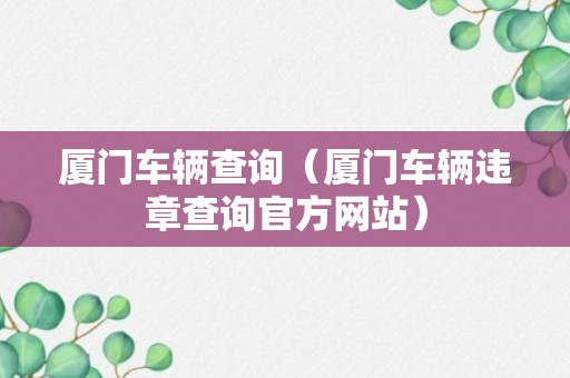 厦门车辆查询（厦门车辆违章查询官方网站）