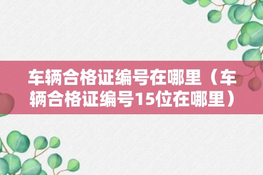 车辆合格证编号在哪里（车辆合格证编号15位在哪里）