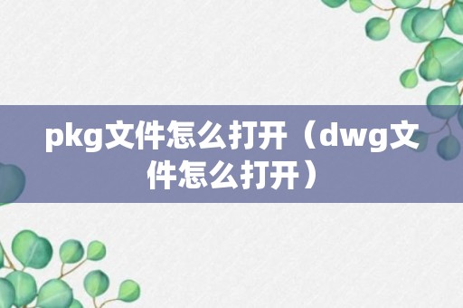 pkg文件怎么打开（dwg文件怎么打开）