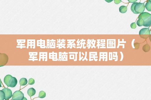 军用电脑装系统教程图片（军用电脑可以民用吗）